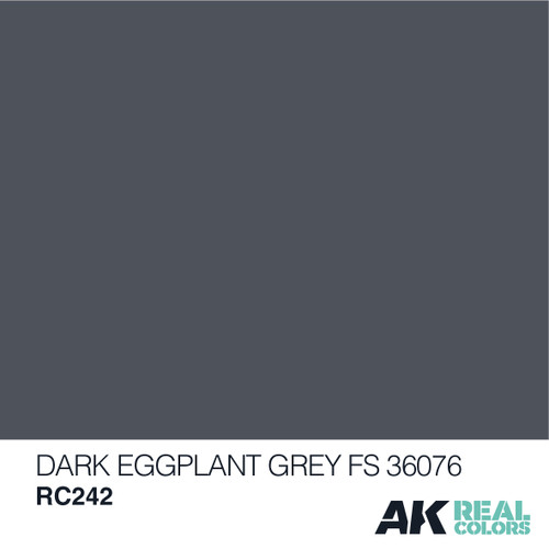 AK Real Colors - Dark Eggplant Grey FS 36076 10ml