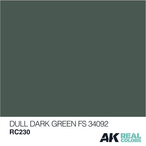 AK Real Colors - Dull Dark Green FS 34092 10ml