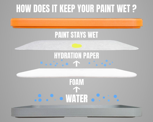 Hydration Foams for Everlasting Wet Palette Studio V2 