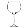 Connexion Gin Glass 580ml PK 6