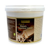 Carmen’s Luxury Bianco Hazelnut Cream Sauce 5kg for professional use