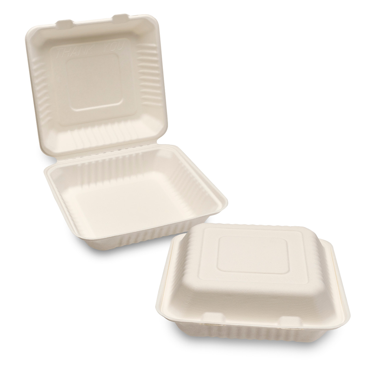 Bagasse Meal Box (230x230x50mm/9x9'') White