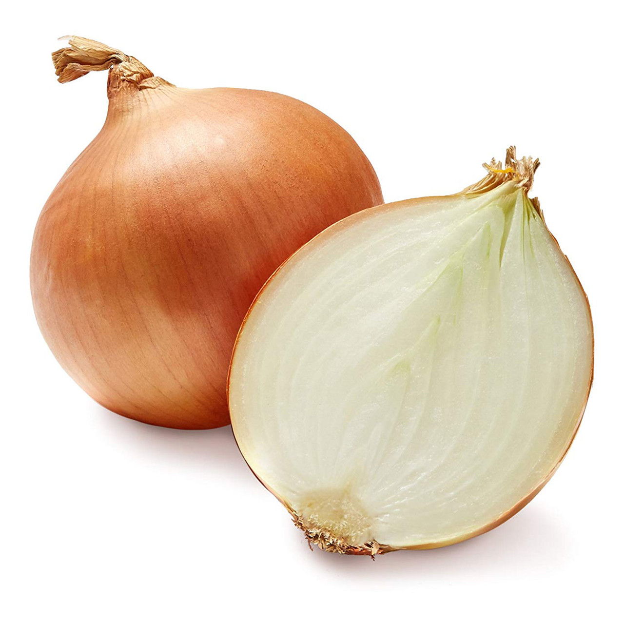 Fresh English / Dutch Onion Sacks