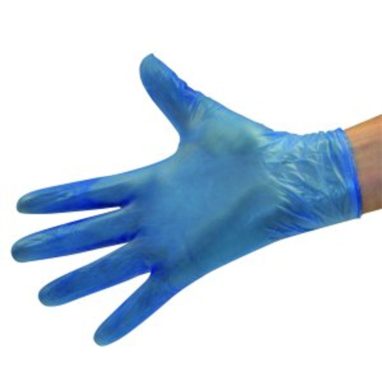 Powder Free Blue Vinyl Gloves Large pk100