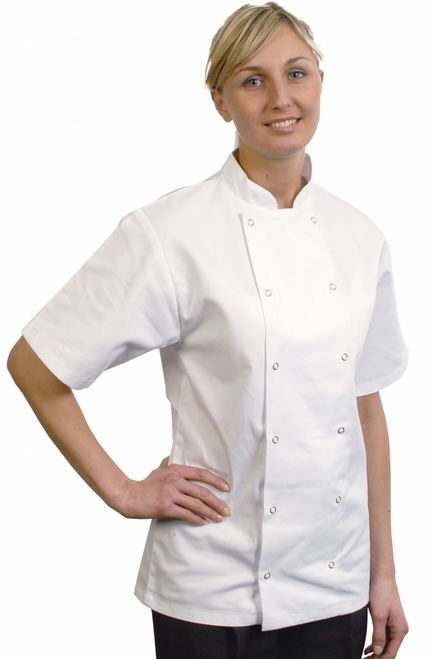 White Unisex Chefs Jacket Short Sleeve  Medium