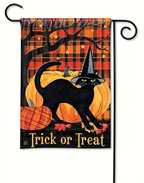 BreezeArt MAIL31227 Witch Hat Cat Garden Flag