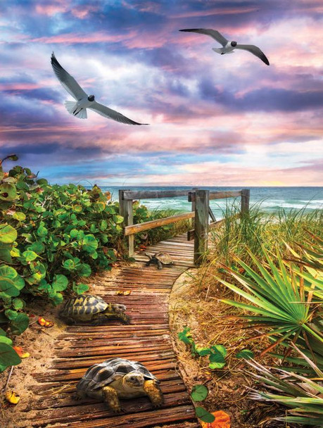 puzzle path to the beach sea turtles beach boardwalk seagulls ocean coastal puzzle