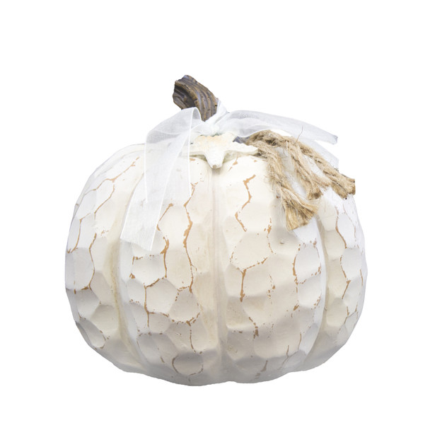 coastal white pumpkin with starfish and rope