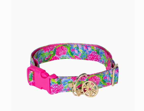 lilly pulitzer dog collar bunny business flowers floral
