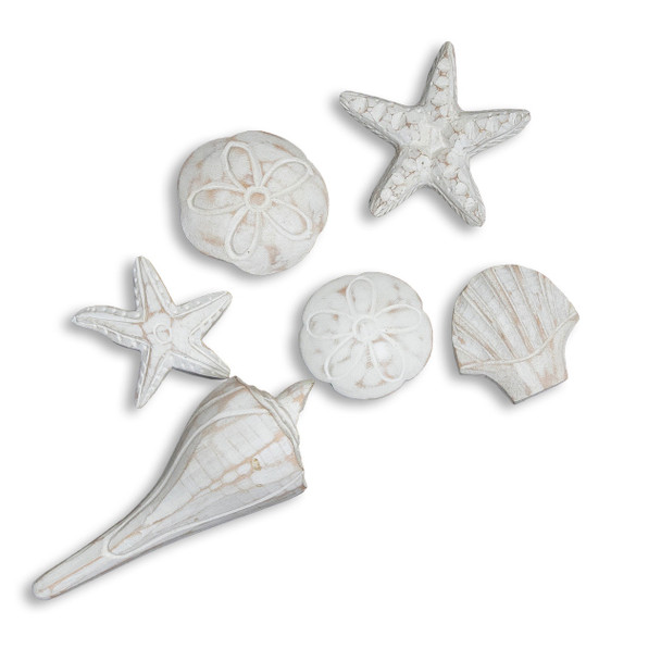 carved white seashells shells decor