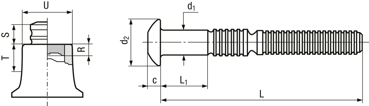 300200474