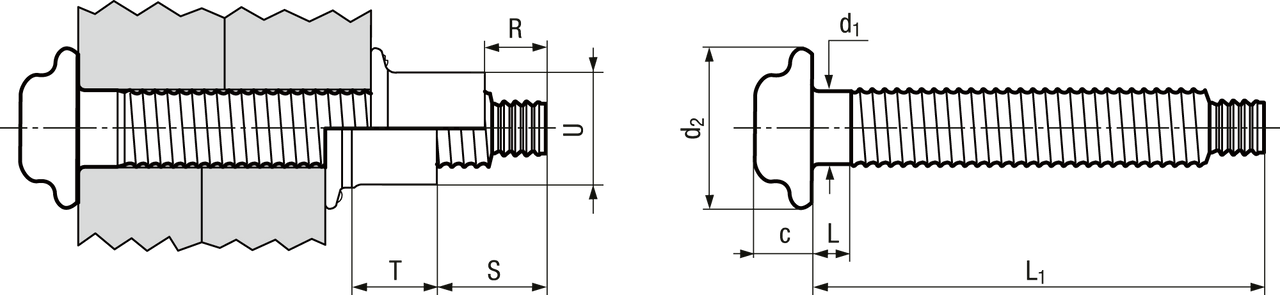 300208061