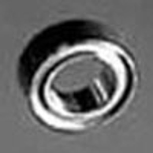 B2-9-S-Q3 - Ball Bearing by WM Berg/Rexnord B2-9-S-Q3 - Ball Bearing by WM Berg/Rexnord