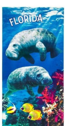 30 x 60 Printed Velour Beach Towel - Florida Manatees