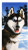 30 x 60 Printed Velour Beach Towel - Husky