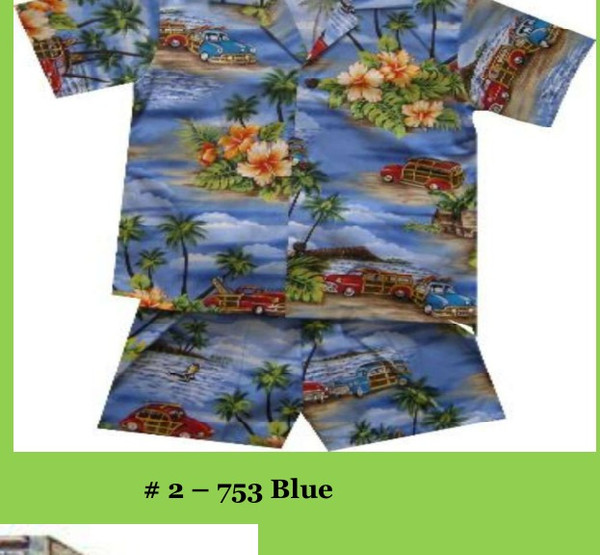 Aloha Republic - Boys Cabana Set - 753 Blue