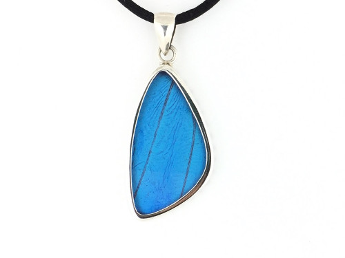 Blue Morpho Butterfly Wing- Medium w/ Suede Cord