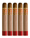 Fuente Fuente Opus X Perfecxion X 5-Pack