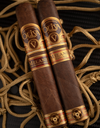 Oliva Serie V Melanio Gran Reserva Limitada World Cup 2026 Cigars Natural and Maduro