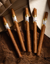 Rare Finds "El Leon" Lancero Mood