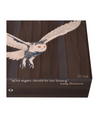 Elie Bleu Snowy Owl Humidor — 110 Cigars Top Marquetry and Front Detail