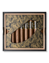Camacho Limited Edition 2026 Box Open