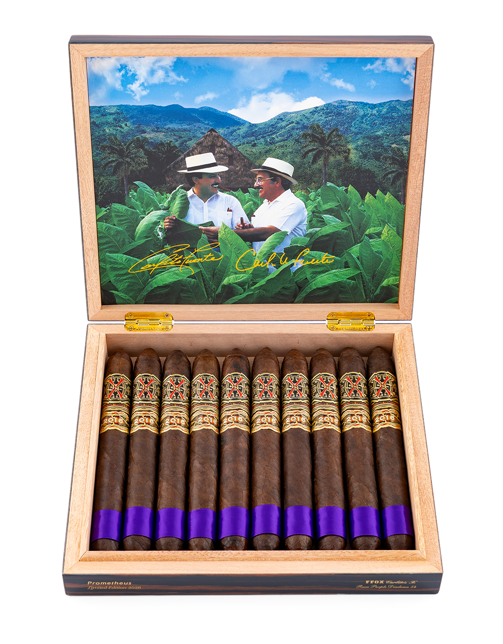 Carlito's X Rare Purple Diadema 54 (Box of 10)