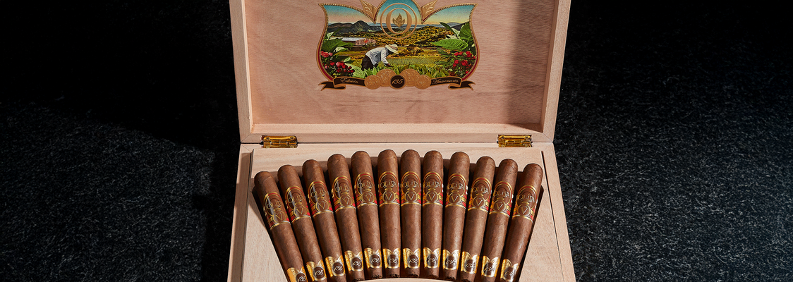 Oliva Serie V