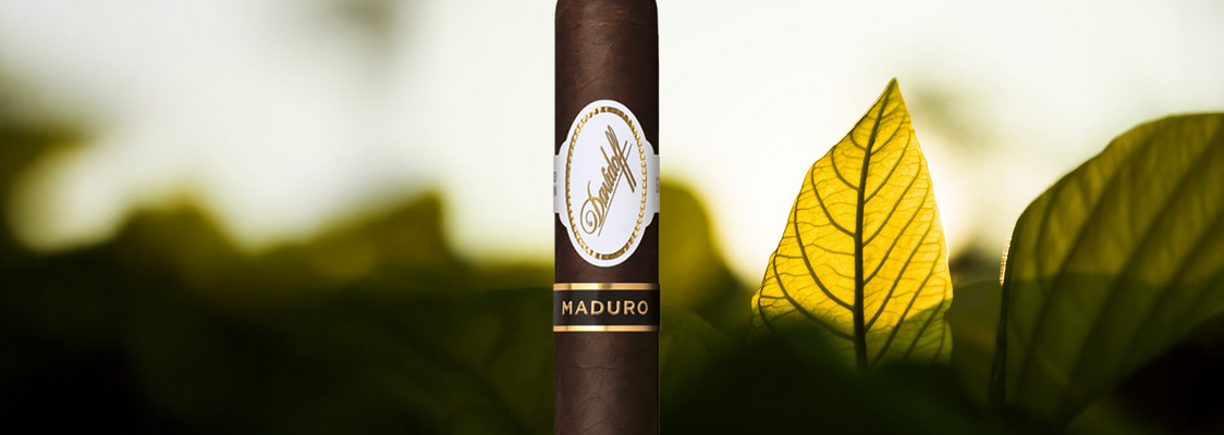 Davidoff Maduro