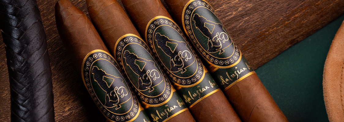 La Flor Dominicana (LFD) Andalusian Bull