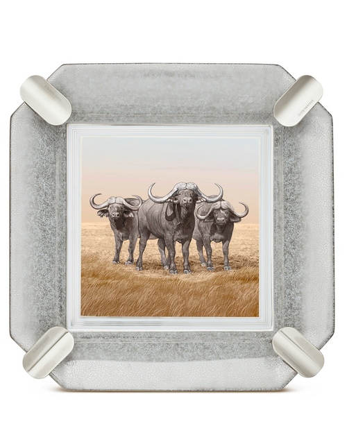 Stefano Ricci SR Octagon Porcelain Ashtray — Buffalo / Palladium, Face