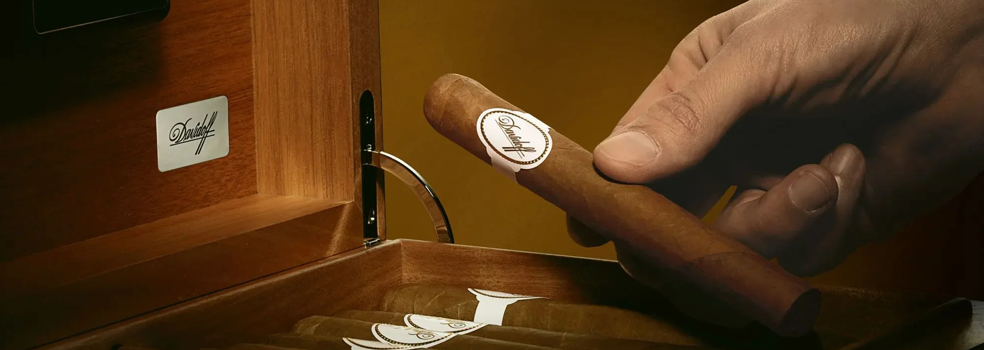 Davidoff Humidors