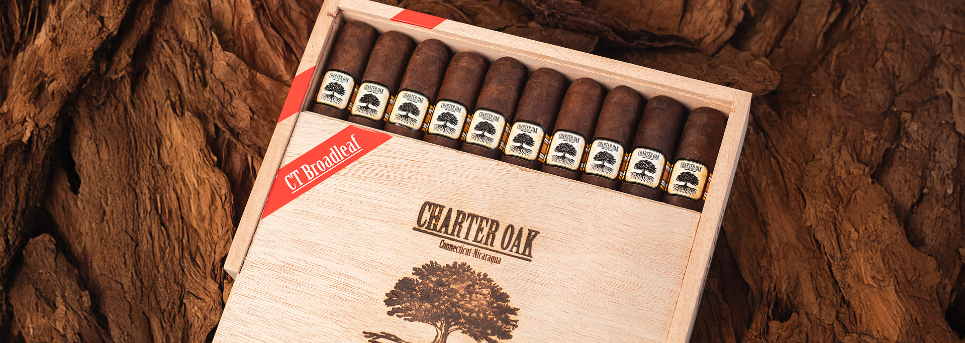 Foundation Charter Oak Maduro