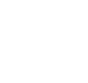 pm spirits logo