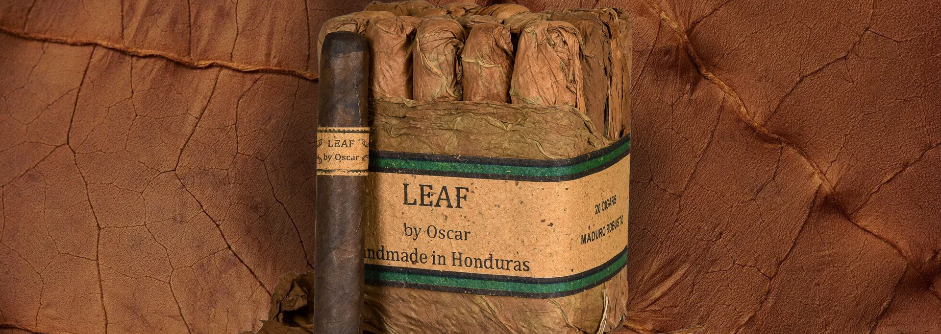 Leaf by Oscar Maduro