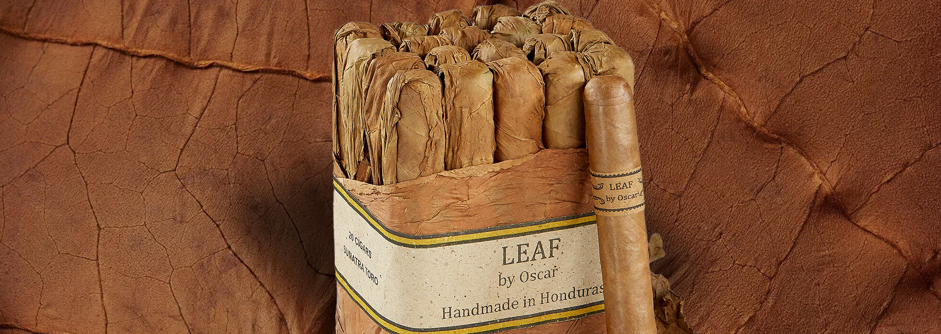Leaf by Oscar Sumatra