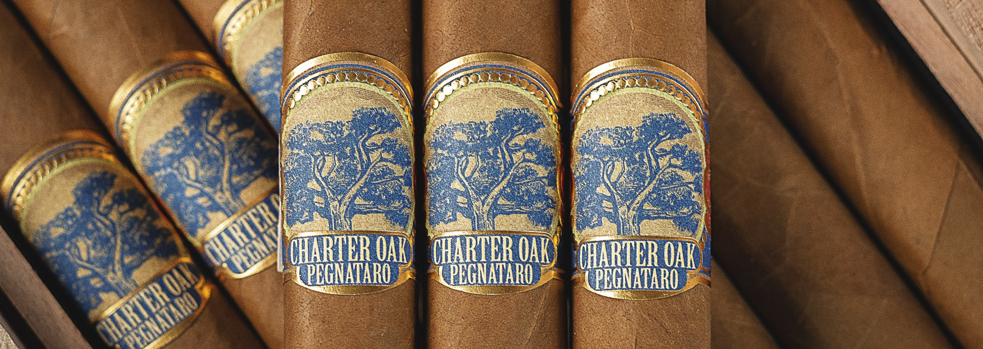 Foundation Charter Oak Shade Especiales