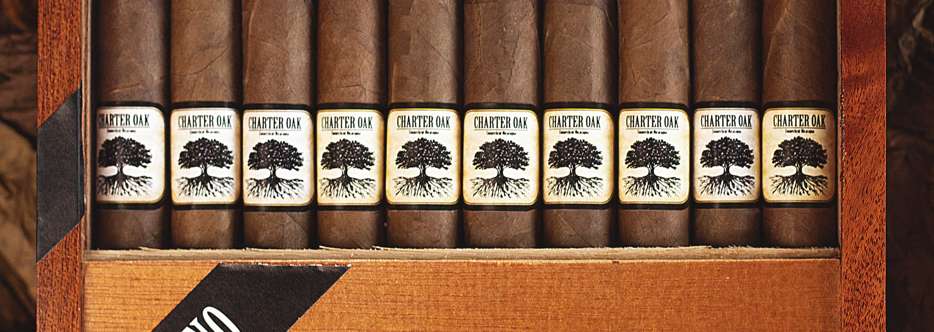 Foundation Charter Oak Habano