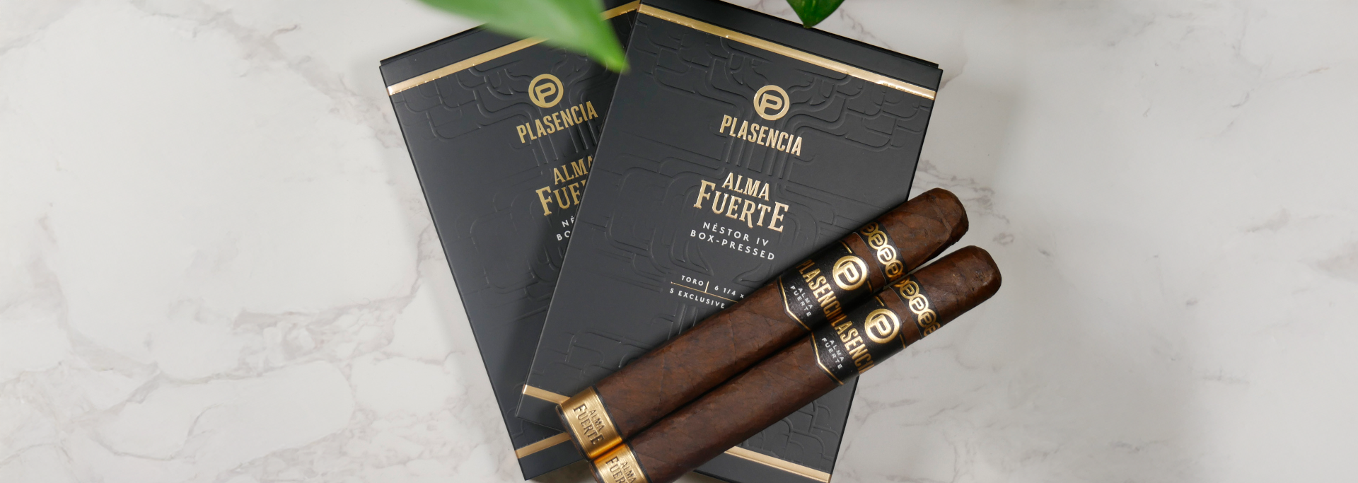Plasencia Cigar Samplers