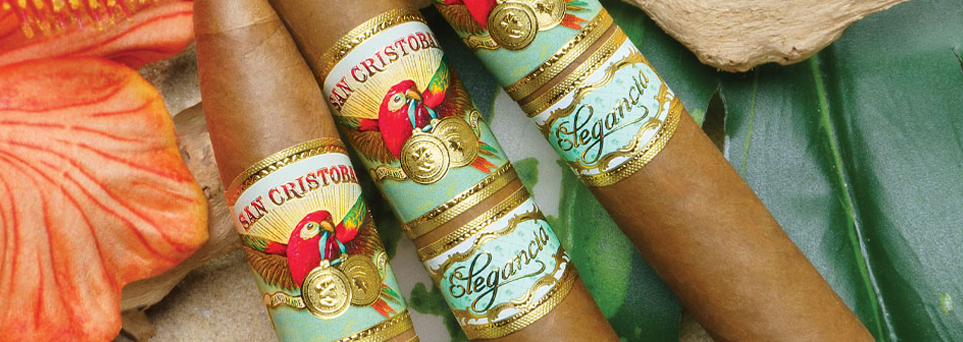 San Cristobal Elegancia