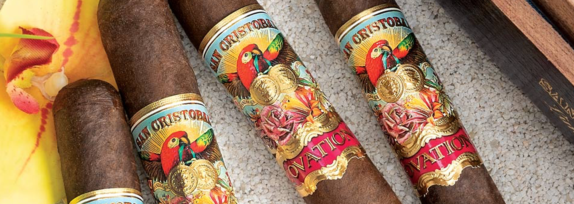 San Cristobal Ovation