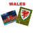 Panini FIFA World Cup Qatar 2022 - Wales missing stickers