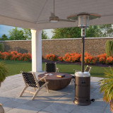 Ash and Stainless Steel Performance Series Gas Patio Heater- 46,000 BTU
