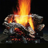 24'' Canyon Wildfire Vented Gas Log Set