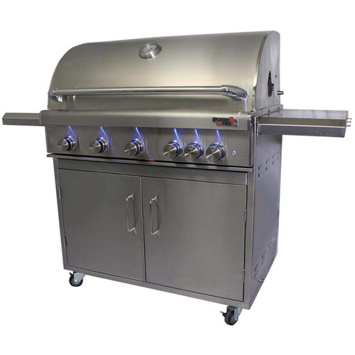 DragonFire 40" Gas Grill on cart