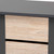 Baxton Studio Melle Modern and Contemporary Two-Tone Oak Brown and Dark Gray 2-Door Wood Entryway Shoe Storage Cabinet