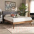 Baxton Studio Alke Mid-Century Modern Light Gray Fabric Upholstered Walnut Brown Finished Wood Full Size Platform Bed