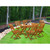 East West Furniture 7 Piece Patio Dining Set in Natural Oil Finish  - DIBS7CWNA