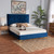 Baxton Studio Serrano Contemporary Glam and Luxe Navy Blue Velvet Full Size Platform Bed