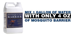 Mosquito Barrier